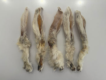 Southcliffe 5 x Rabbit Ears