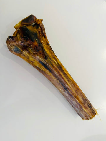 Ostrich Metatarsus Bone