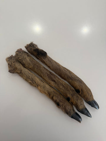 Roe Deer Legs - x3