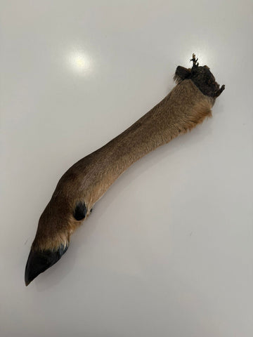 XL Venison Leg - Single