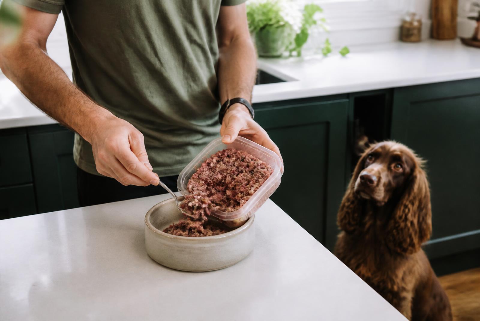 A dog watching a raw food meal being served in a home kitchen