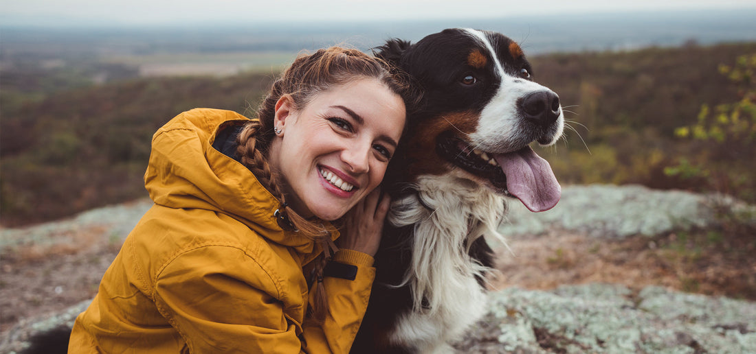 The Health Benefits of Raw Feeding for Dogs: From Coat to Teeth