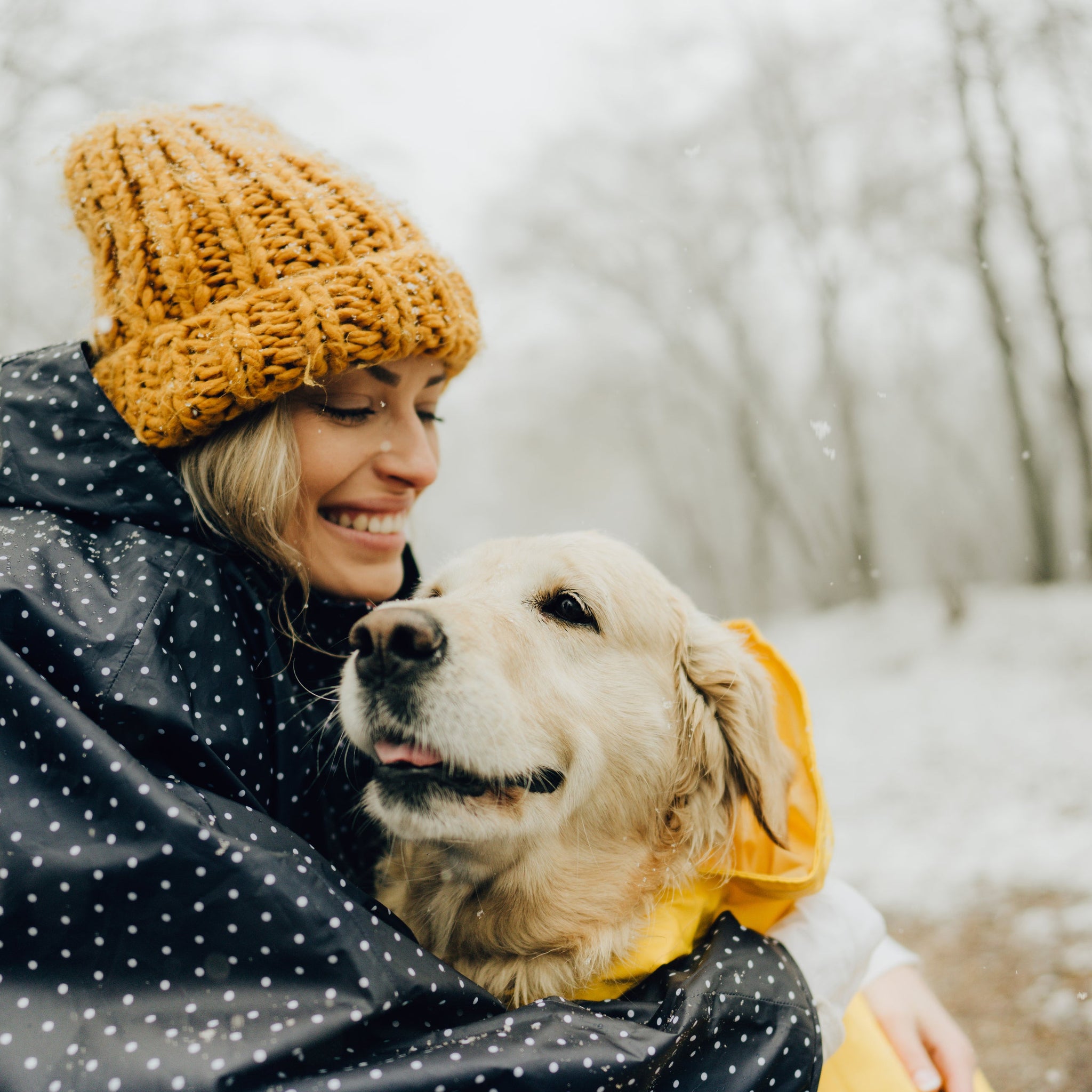 The Health Benefits of Raw Feeding for Dogs: From Coat to Teeth