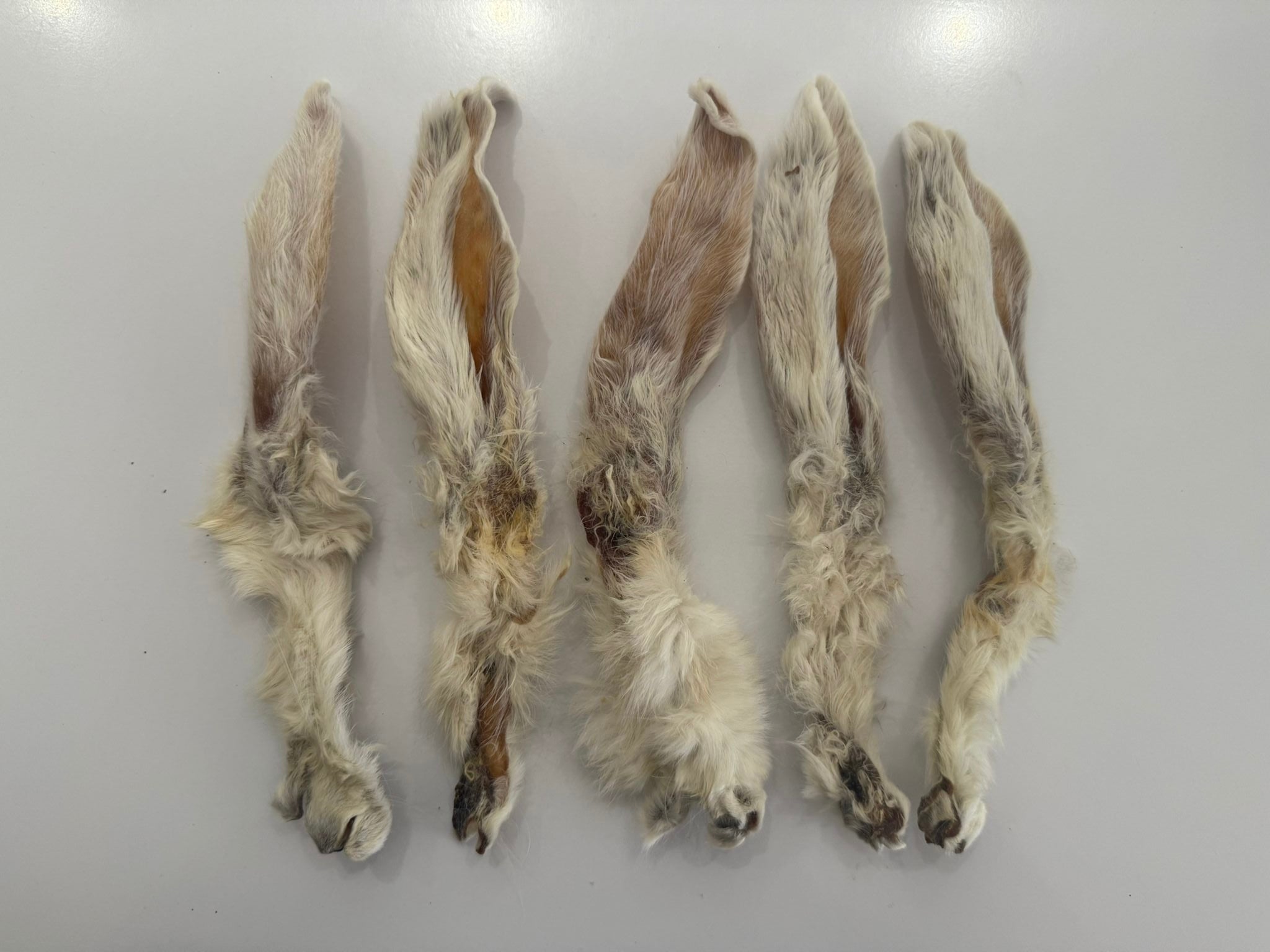 5 x Rabbit Ears - Southcliffe Foods - Raw Dogs Dorset