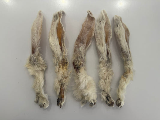 Southcliffe 5 x Rabbit Ears