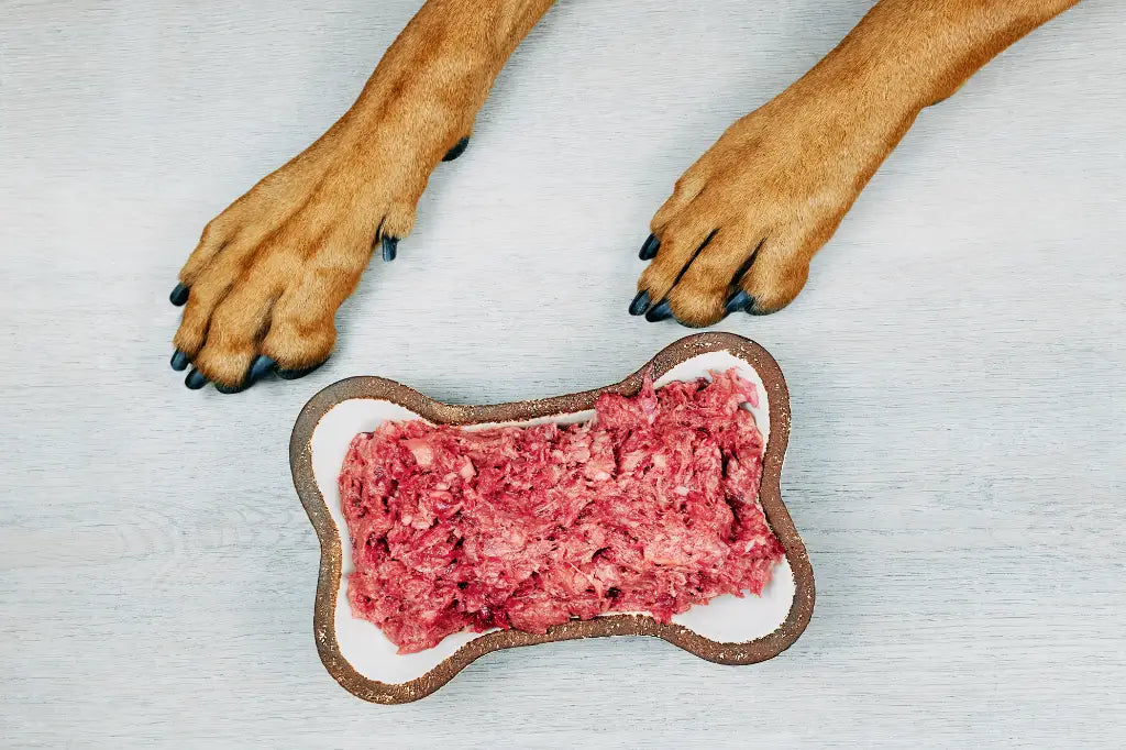 Paws and Raw Dog Food