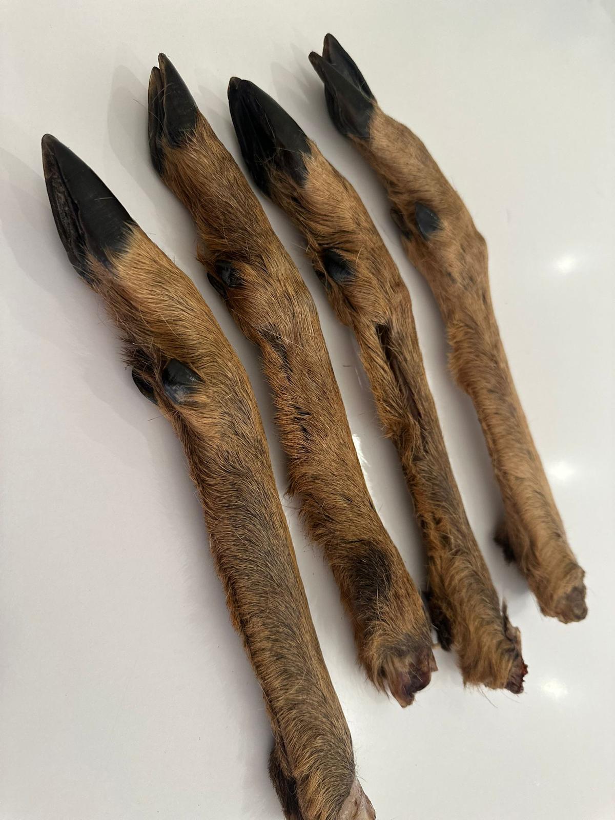 Roe Deer Legs - x3